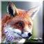 Fox2359727