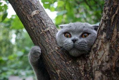 blogentry-5137-098124300 1277384814_thumb.jpg